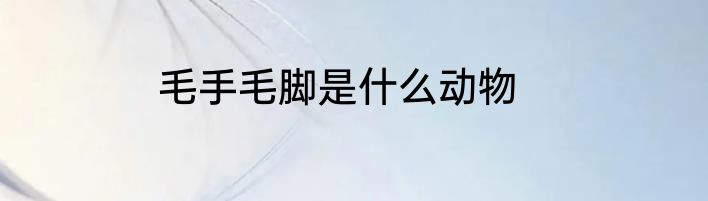 毛手毛脚是什么动物