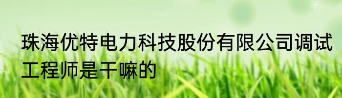 珠海优特电力科技股份有限公司调试工程师是干嘛的