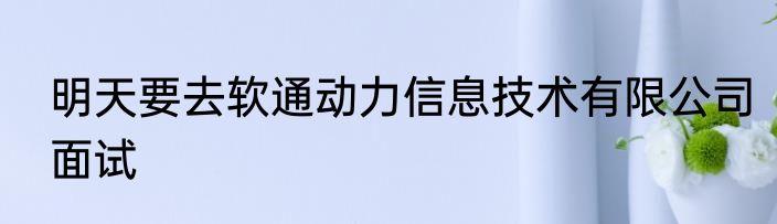 明天要去软通动力信息技术有限公司面试