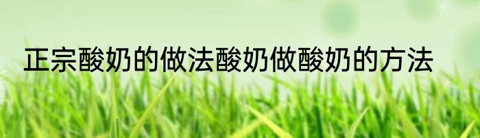 正宗酸奶的做法酸奶做酸奶的方法