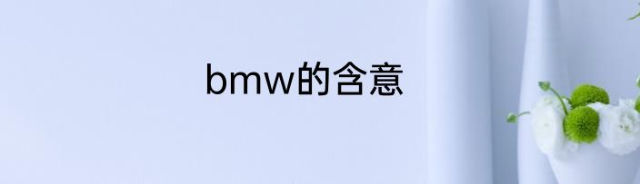 bmw的含意