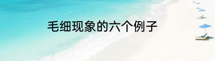 毛细现象的六个例子