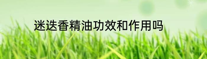 迷迭香精油功效和作用吗