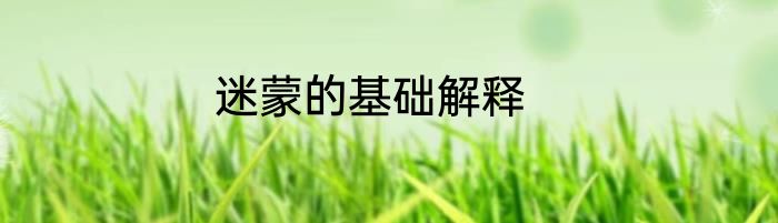 迷蒙的基础解释
