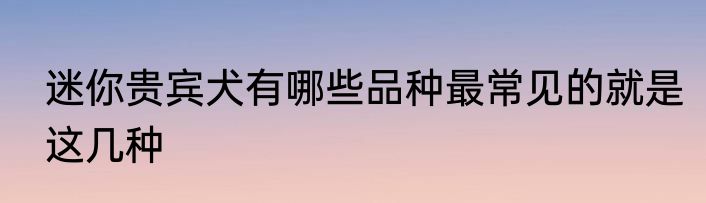 迷你贵宾犬有哪些品种最常见的就是这几种