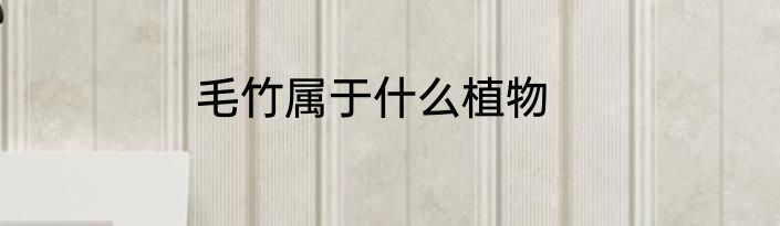 毛竹属于什么植物