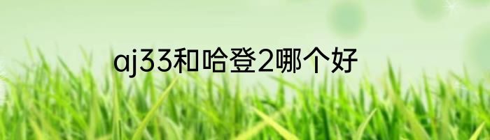 aj33和哈登2哪个好