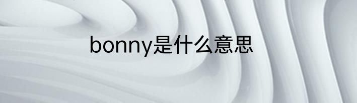 bonny是什么意思