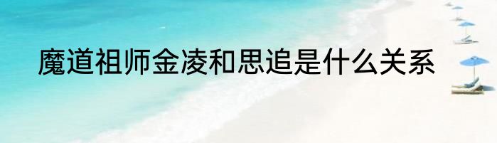 魔道祖师金凌和思追是什么关系