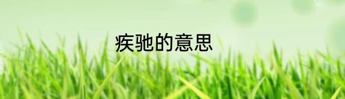疾驰的意思