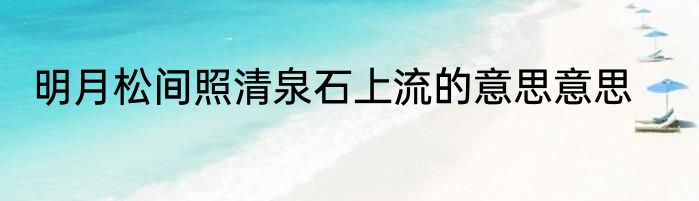 明月松间照清泉石上流的意思意思