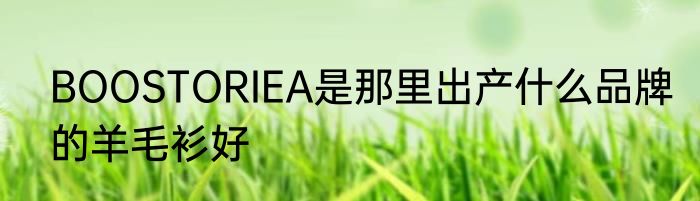 BOOSTORIEA是那里出产什么品牌的羊毛衫好