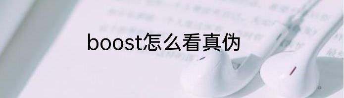 boost怎么看真伪