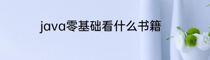 java零基础看什么书籍