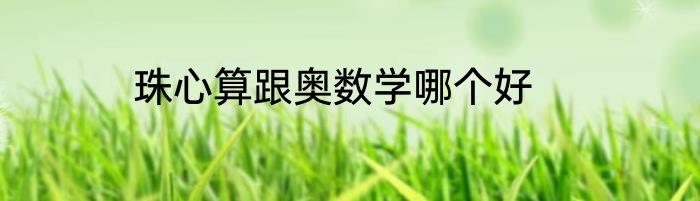 珠心算跟奥数学哪个好