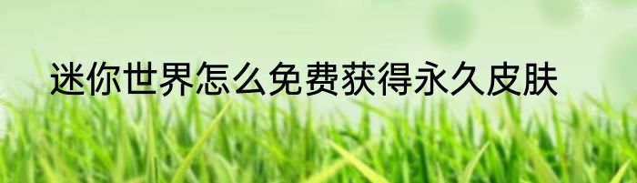 迷你世界怎么免费获得永久皮肤