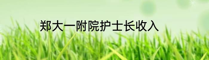郑大一附院护士长收入