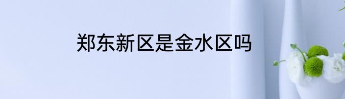 郑东新区是金水区吗