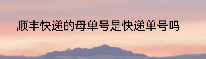 顺丰快递的母单号是快递单号吗