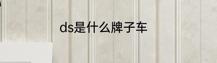 ds是什么牌子车
