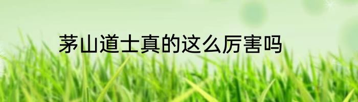 茅山道士真的这么厉害吗