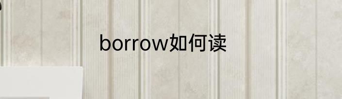 borrow如何读