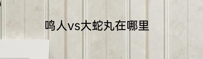 鸣人vs大蛇丸在哪里