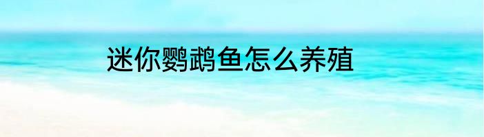 迷你鹦鹉鱼怎么养殖
