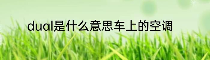 dual是什么意思车上的空调