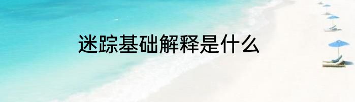 迷踪基础解释是什么