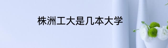 株洲工大是几本大学