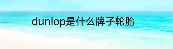 dunlop是什么牌子轮胎