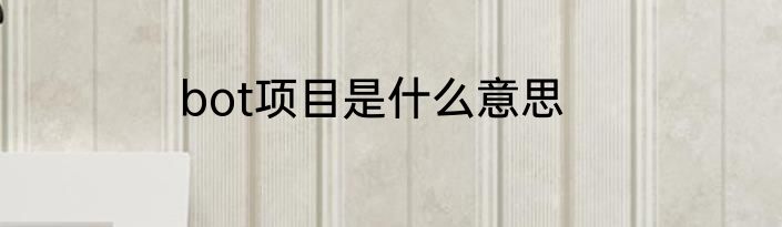 bot项目是什么意思