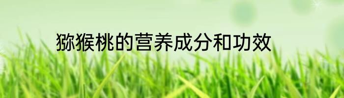 猕猴桃的营养成分和功效