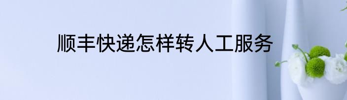 顺丰快递怎样转人工服务