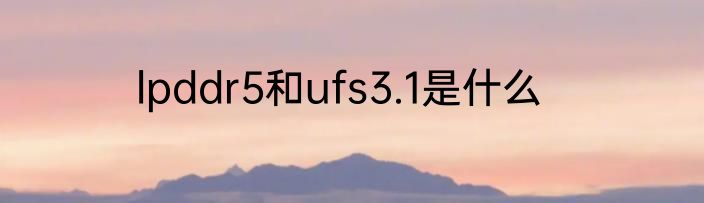 lpddr5和ufs3.1是什么