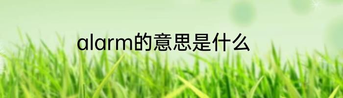 alarm的意思是什么