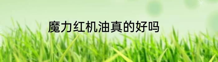 魔力红机油真的好吗