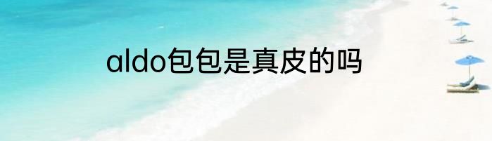 aldo包包是真皮的吗