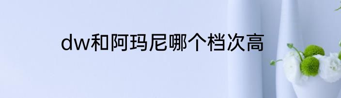 dw和阿玛尼哪个档次高