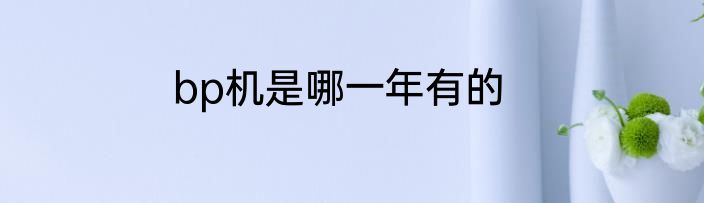 bp机是哪一年有的