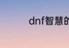dnf智慧的引导怎么许愿