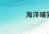 海洋哺乳动物有什么