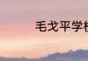毛戈平学校要求什么学历