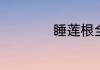 睡莲根全水养会怎样