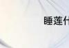 睡莲什么时候开花