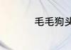 毛毛狗头为什么会喷水