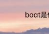 boat是什么意思中文