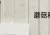 蘑菇种类的介绍