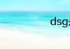 dsg是什么意思